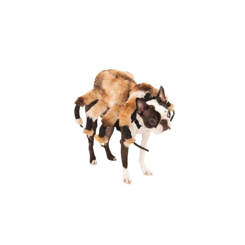 Rubies (Medium) Giant Spider Pet Suit