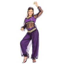 (Small) Harem Princess Childs Costume