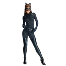 (Small) Womens Dark Knight Rises Adult Catwoman Costume