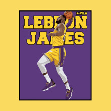 (04, Outer frame) Digital oil painting diy NBA fan LeBron James gift