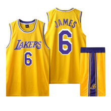 (26, Yellow) Los Angeles Lakers No. 6 LeBron James adult and children's jersey set