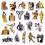 (Kobe) NBA stars (including James) stickers 1