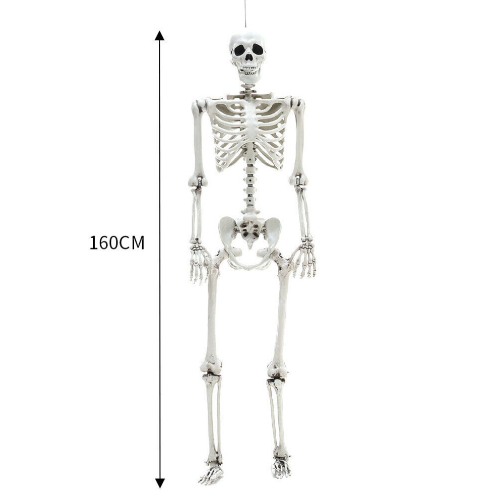 (160CM) Full Size Halloween Skeleton Haunted House Poseable Human Skeleton Prop Decors