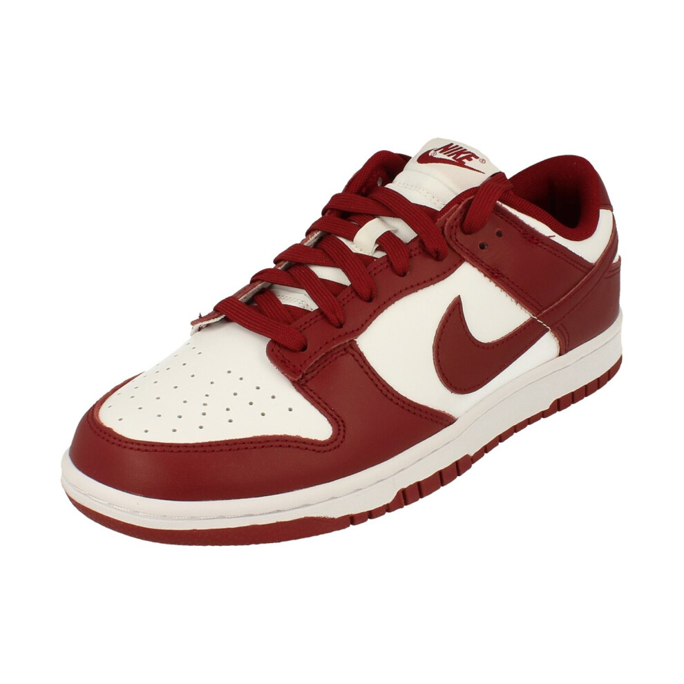 Nike (9) Dunk Low Retro Mens Trainers Dd1391 Sneakers Shoes