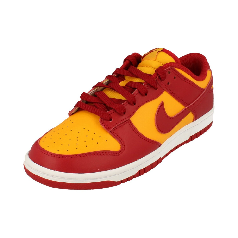 Nike (8.5) Dunk Low Retro Mens Trainers Dd1391 Sneakers Shoes