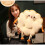 (Round cute) Toast-shaped heightened and thickened cushion 3