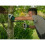 Wilkinson Sword Deluxe Bowsaw 3