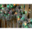 (520 LED Lights) Christmas Tree Lights - Aurora - 1000 LED 3
