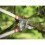 WOLF Garten Power Cut Vario Lopper 5