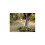 WOLF Garten MTD Bypass Lopper 75 Cm - Ciseaux Et Cisailles Pour Couper 3