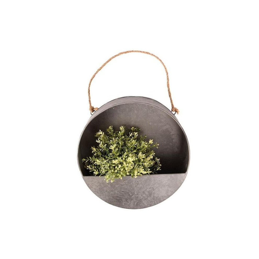 Fallen Fruits ) Wall Planter Round- Small