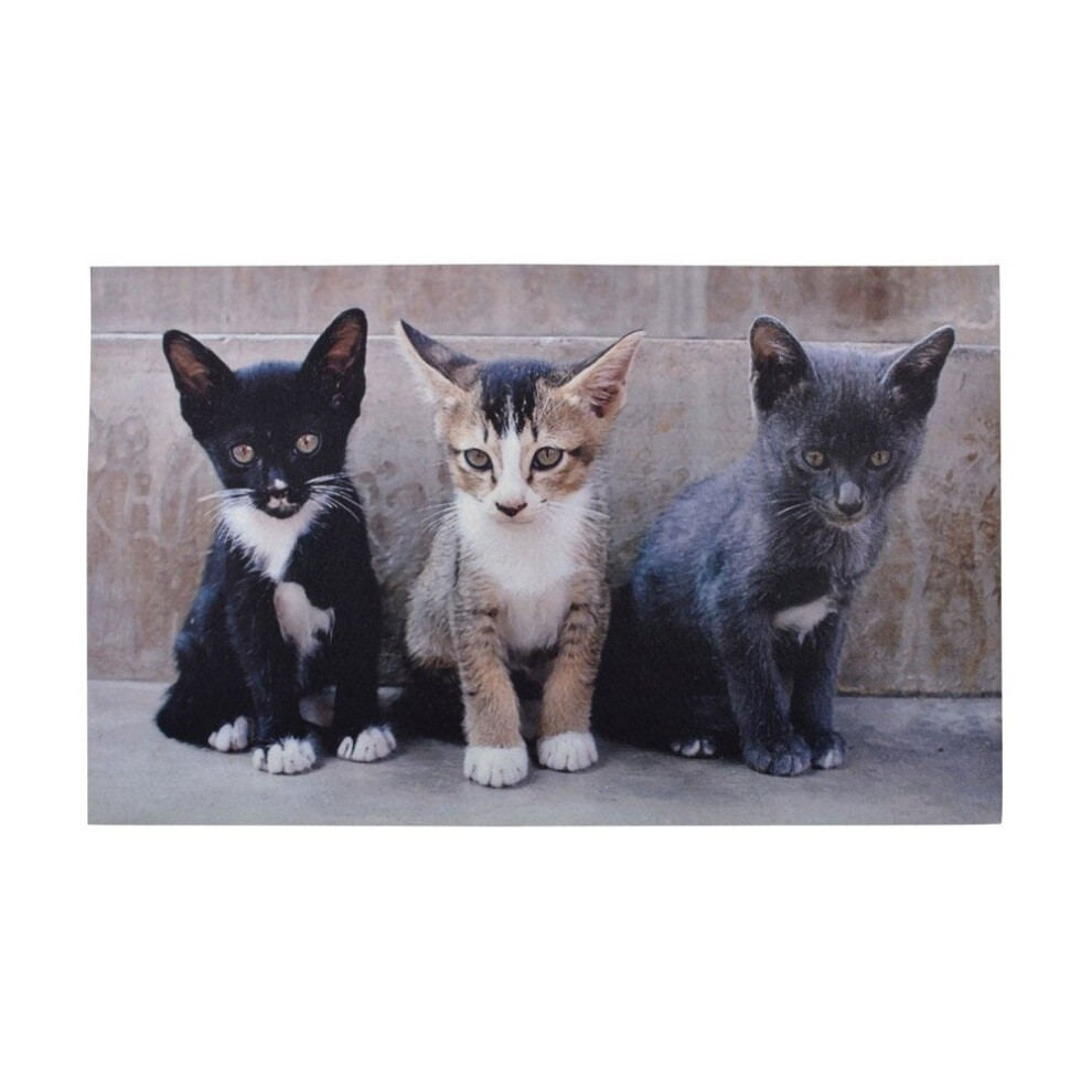 Fallen Fruits Kittens Doormat