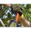 Shock Absorber Gloves - Mens, Large 5
