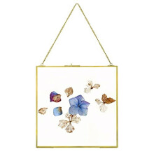fujack Large Brass Hanging Photo Frame for Pressed Flowers, 12x12 inch Double Clear Glass DIY Artwork Picture Display Clip Frames Dried Plant Specimen