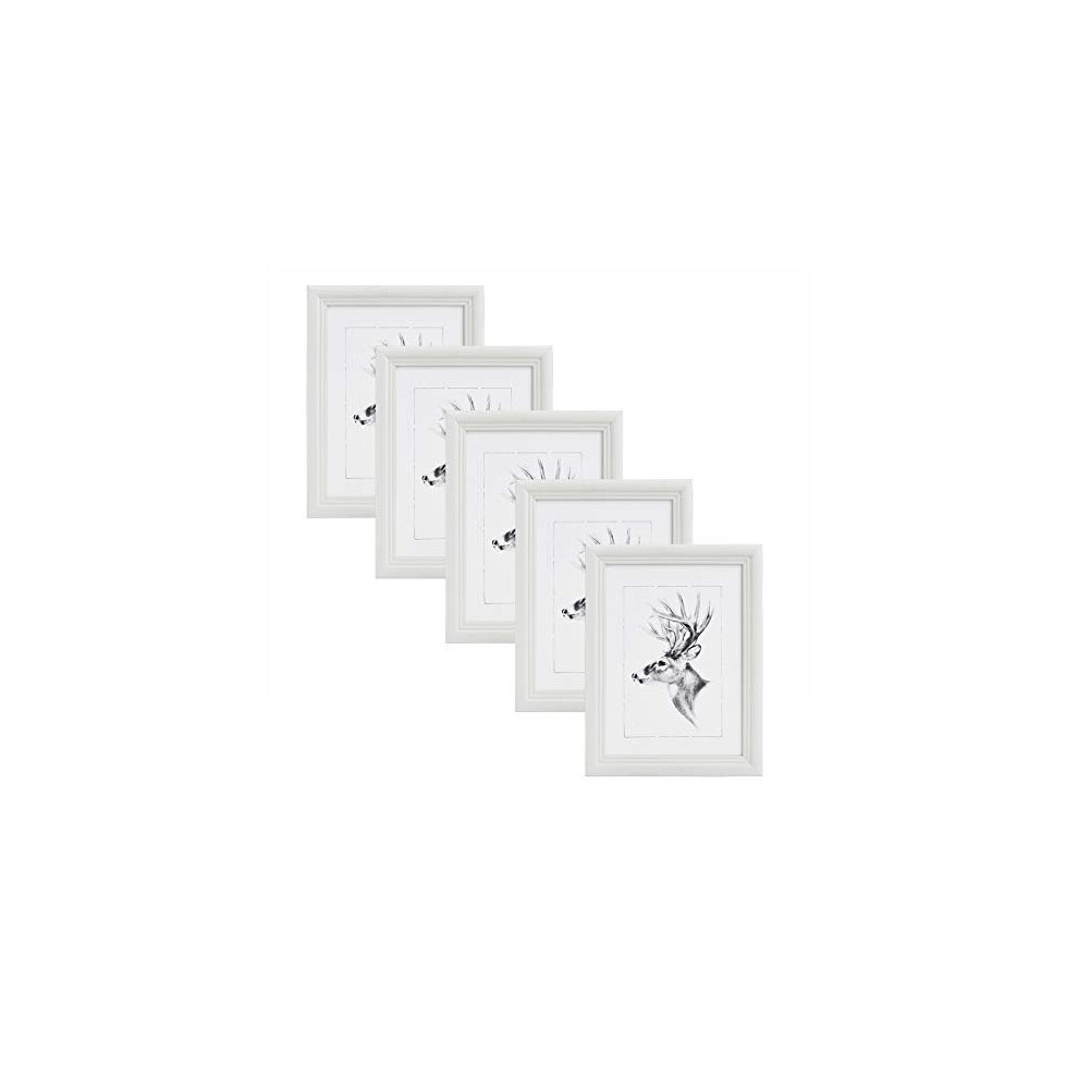 WOLTU Set of 5 Photo Picture Frame with Mount Solid Wood Poster Frame Glass Panel White A4(21x29.7cm)
