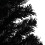 VidaXL vidaXL Artificial Christmas Tree with Stand Black 150cm PVC Decoration Tree 3