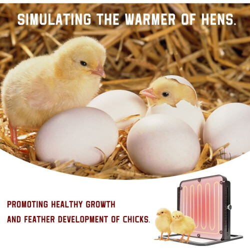 Chick Poultry Brooder - 10.8' 1