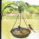 Hanging Bird Bath 3