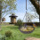 Hanging Bird Bath 5