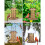 Solar Bird Feeder 7