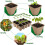 Biodegradable Seed Starter Trays Seed Starter Peat Pots 10pcs peat pots 6