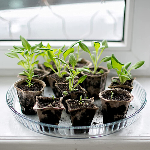 Seed Starter Peat Pots,Peat Pots 2