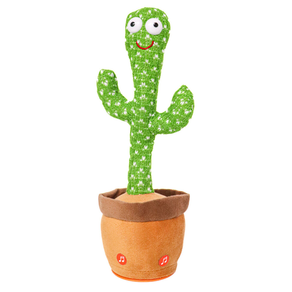 Standard Dancing Cactus