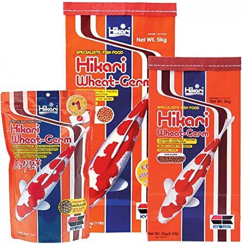 Hikari Hikari Wheat-Germ FormulaLarge [CSE] 2kg