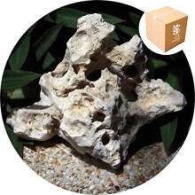 Specialist Aggregates - Natural Ocean Rock for Aquariums/Marine/Reef. Cichlid, PH Buffer - 3 Pieces ~15kg