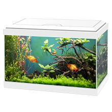 Ciano Aqua 20 Classic Aquarium Fish Tank - White