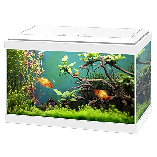 Ciano Aqua 20 Classic Aquarium Fish Tank - White