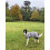 Ancol Muddy Paws Ultimate Reflective Dog Coat Large, Silver 5