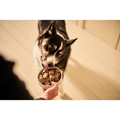 Forthglade Complete Natural Wet Dog Food Grain Free Variety Pack (12