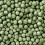 Hikari Hikari Staple Medium 2kg 2000g 2