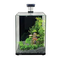 Aqua One Focus 23 Glass Aquarium 23L 30x22x41cm Black