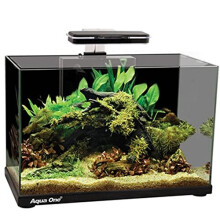 Aqua One Focus 36 Glass Aquarium 36L (50x25x36cm) Black – Energy-Efficient LED, Submersible Internal Filter, Easy Access Lid
