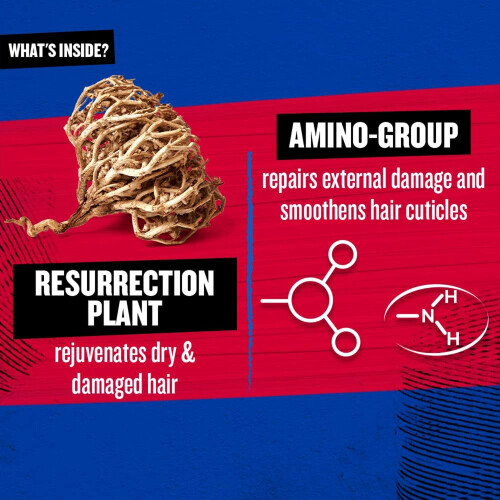 TIGI Shampoo Tigi Resurrection 2