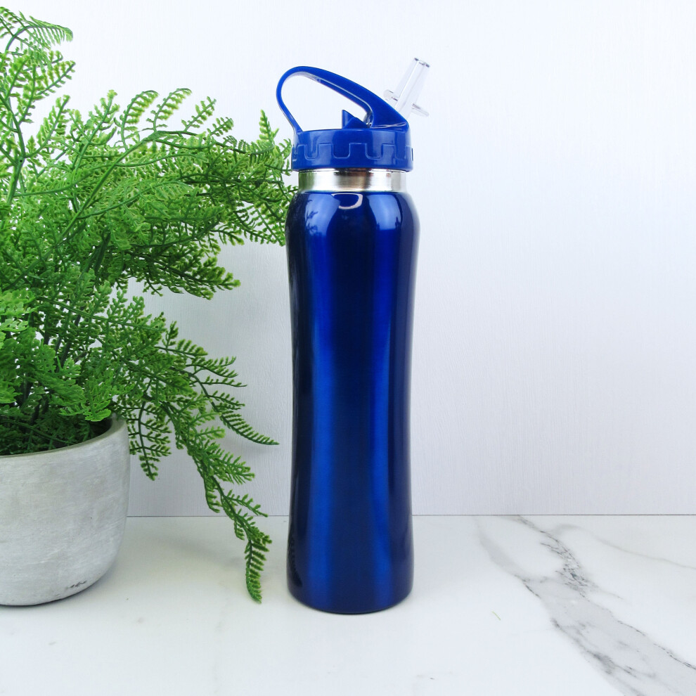 (Blue) Stainless Steel Water Bottle Flip Top Straw 800ml Kids School Metal Drinks Cup