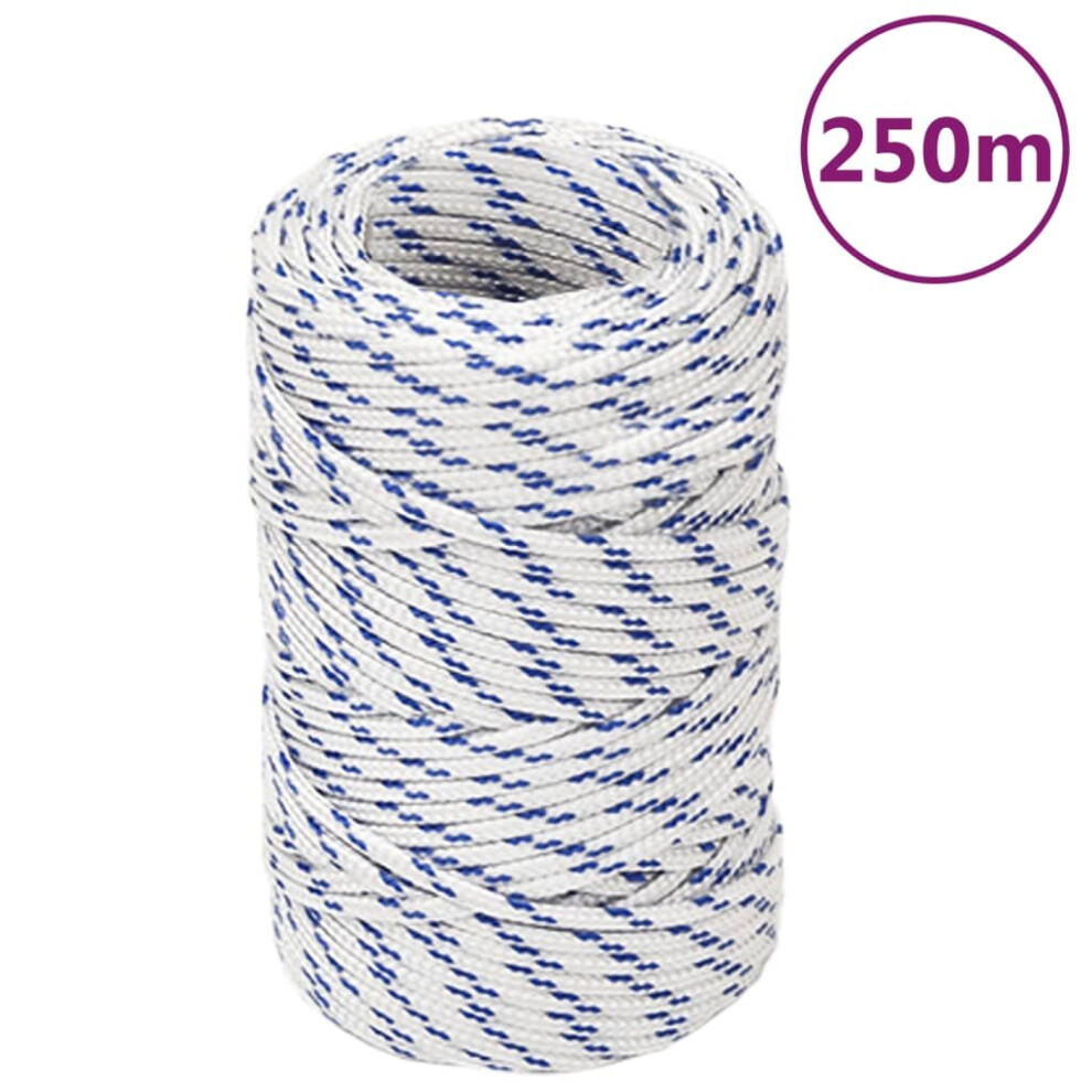 (white and blue, 2 mm/ 250 m) Marine Rope Dock Coil Boat Line Polypropylene Rope Multi Sizes Multi Colours