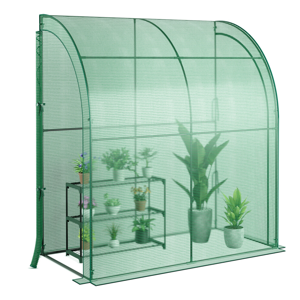 Walk-in Greenhouse Outdoor Mini Wall Greenhouse Portable Greenhouse