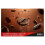 Nescafe NESCAFE Original Instant Coffee 500g Tin 8