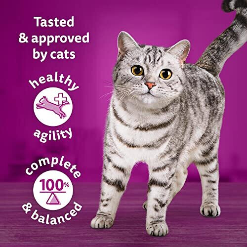 Whiskas Whiskas Tasty Mix 1+Chefs Choice in Gravy 40x85g Pouches, Adult Cat Food 1