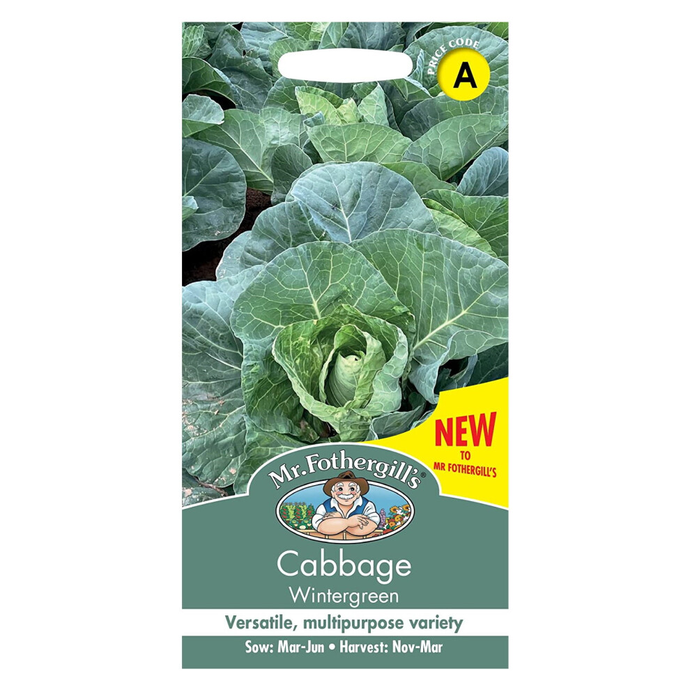 Mr Fothergill's Cabbage Seeds Grow Your Garden Vegetable Wintergreen