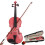 4/4 Full Size Acoustic Violin Set with Bow Rosin Black Case Beginners 1