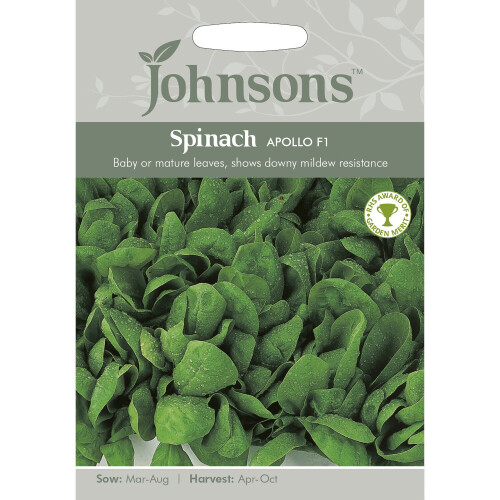 Mr Fothergill's Mr Fothergill's RHS  Spinach Apollo F1 Grow Your Own Vegetables Seeds Packet