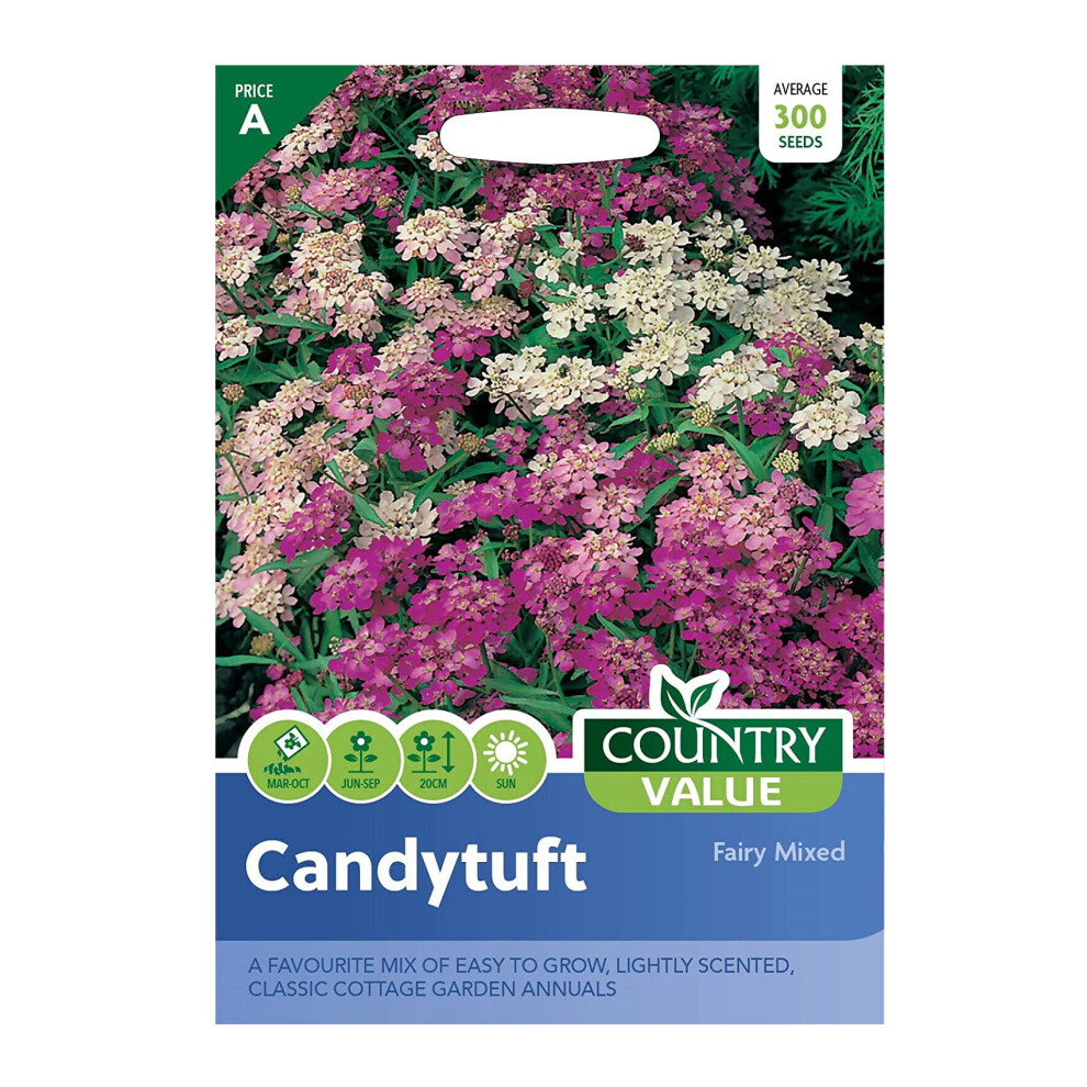 Candytuft Seed Grow Your Own Garden Flowers Fairy Mixed Packet Country Value