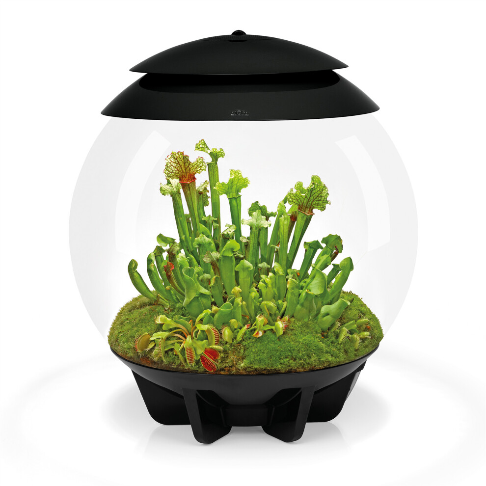 Biorb Air 30 30L Acrylic Terrarium With Led Lighting Ultrasonic Mister Carbon Filter Reptile Amphibian Tank Black