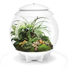 biOrb AIR 30 White 30L Acrylic Terrarium with LED Lighting Ultrasonic Mister Reptile Tropical Plant Tank