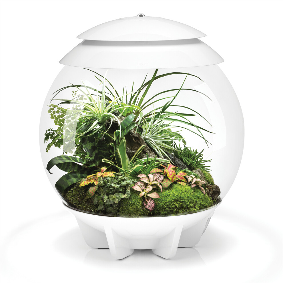 biOrb AIR 30 White 30L Acrylic Terrarium with LED Lighting Ultrasonic Mister Reptile Tropical Plant Tank