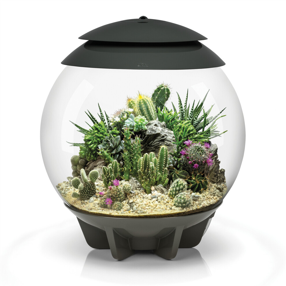 biOrb AIR 30 Grey 30L Acrylic Terrarium with LED Lighting Tropical Daylight Simulation Plant Tank